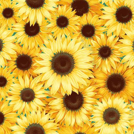 Garden Party - Large Sunflowers
From Fabric Traditions Studio Cottons by Fabric Traditions Collection. This fabric radiates a warm and sunny garden vibe, featuring a lush teal background densely packed with large, vibrant sunflowers. The sunflowers display bright yellow petals with detailed shading, dark brown centers with intricate textures, and occasional variations in petal arrangement, creating a bold and natural floral pattern perfect for eye-catching quilts or decor.
100% Cotton 44/45"