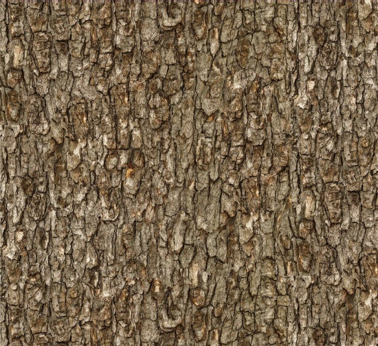 Landscape Medley Bark - Walnut-From Elizabeths Studio-Landscape Medley Collection-100% Cotton-43/44"