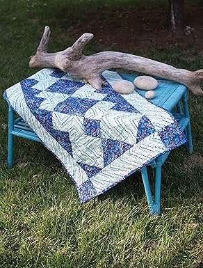 Simple Blocks, Stunning Quilts the Square-agonals Way
From C & T Publishing
By Sandi Blackwell