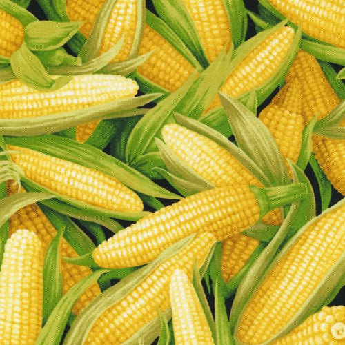 Farmer John Garden Party - Corn From Paint Brush Studio 100% Cotton 43"/44"