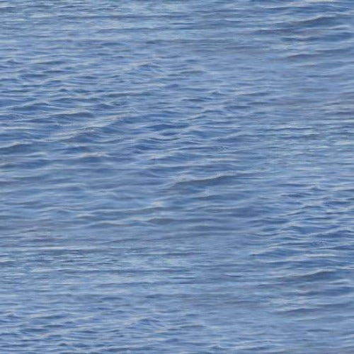 Lake From Elizabeths Studio Landscape Medley Collection 100% Cotton 44/45"