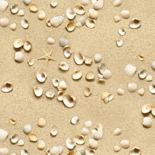 Sand From Elizabeths Studio Landscape Medley Collection 44/45"