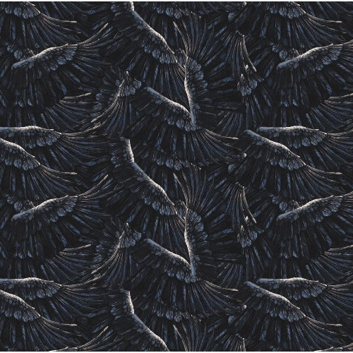 Bird Wing - Black From Suite B By Autumn Skye Morrison - Autumn Sky Collection 100% Cotton 44/45"