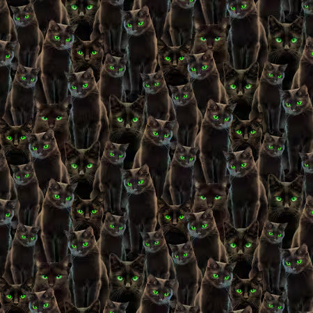 Halloween Cats
From Michael Miller
100% Cotton
43/44"