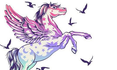 Tula Pink Pegasus Pencil Pouch Close Up - 10" x 5.5"