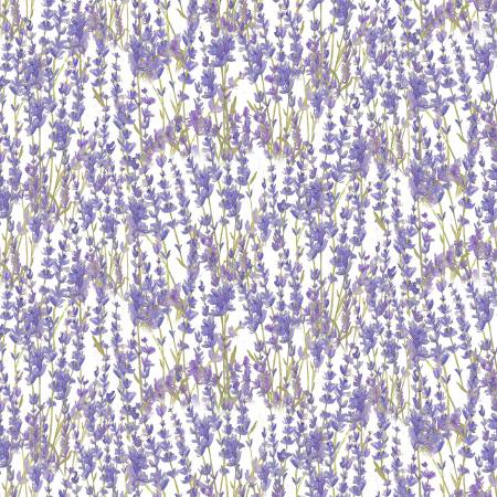 Enjoy the Little Thing- Light White Digital Lavender-From Clothworks-By Dan DiPaolo-100% Cotton-44/45in