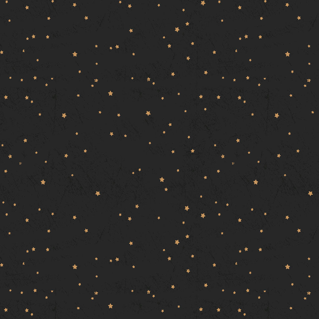 Living the Dream Flannel - Black Stars
From Clothworks
By Dan DiPaolo
100% Cotton Flannel
43.44"