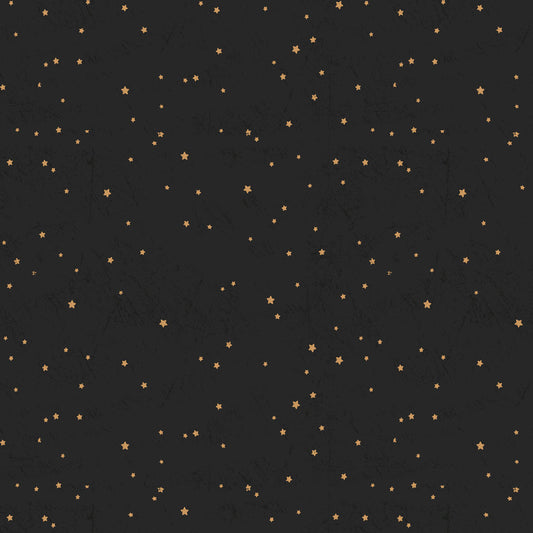 Living the Dream Flannel - Black Stars
From Clothworks
By Dan DiPaolo
100% Cotton Flannel
43.44"