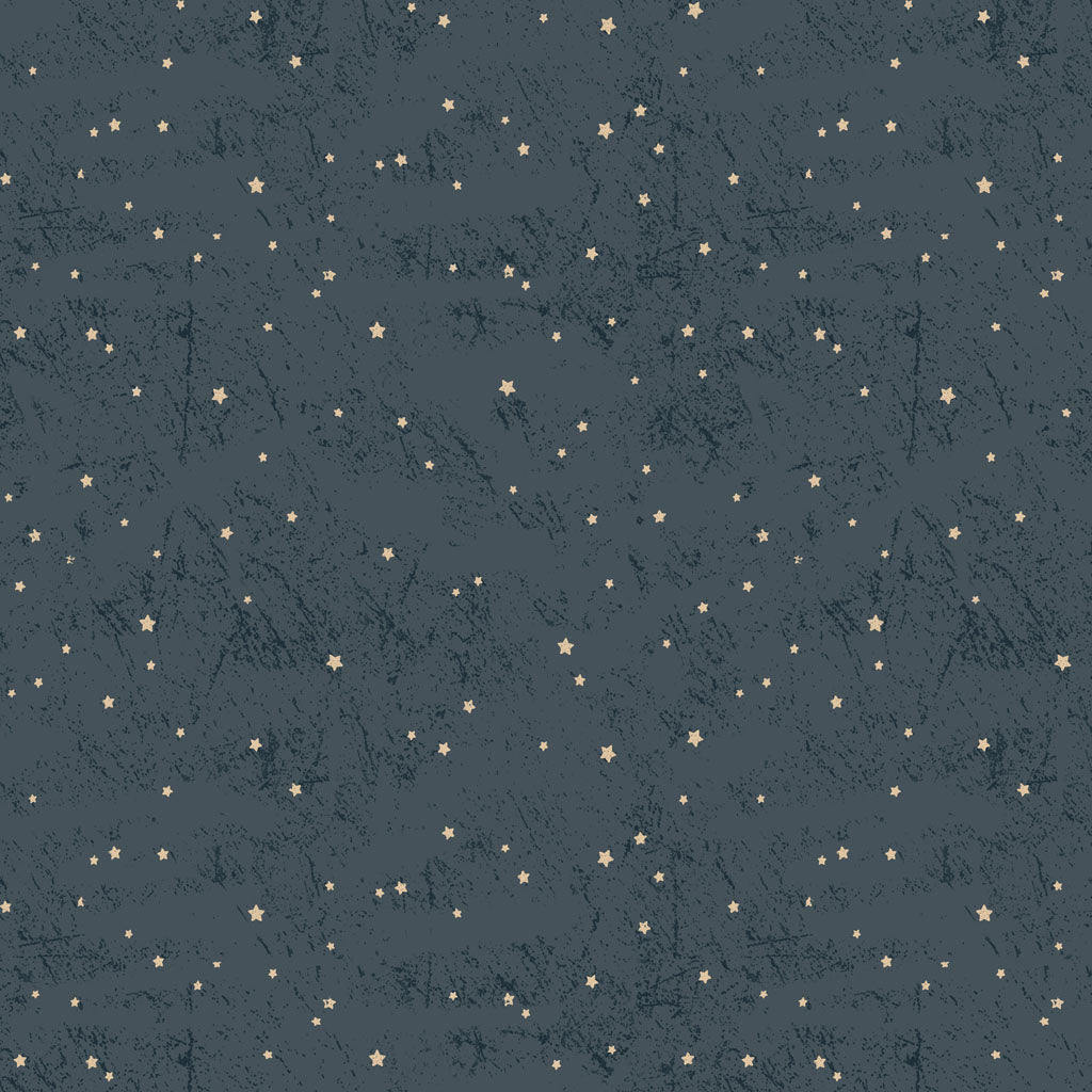 Living the Dream Flannel - Light Navy Stars
From Clothworks
By Dan DiPaolo
100% Cotton Flannel
43.44"