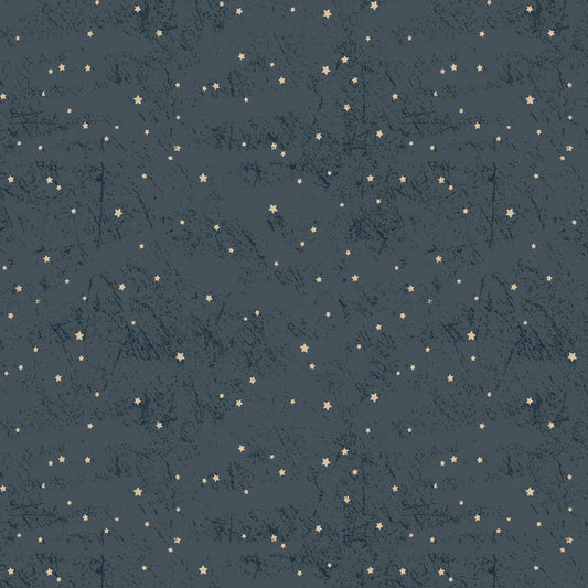 Living the Dream Flannel - Light Navy Stars
From Clothworks
By Dan DiPaolo
100% Cotton Flannel
43.44"