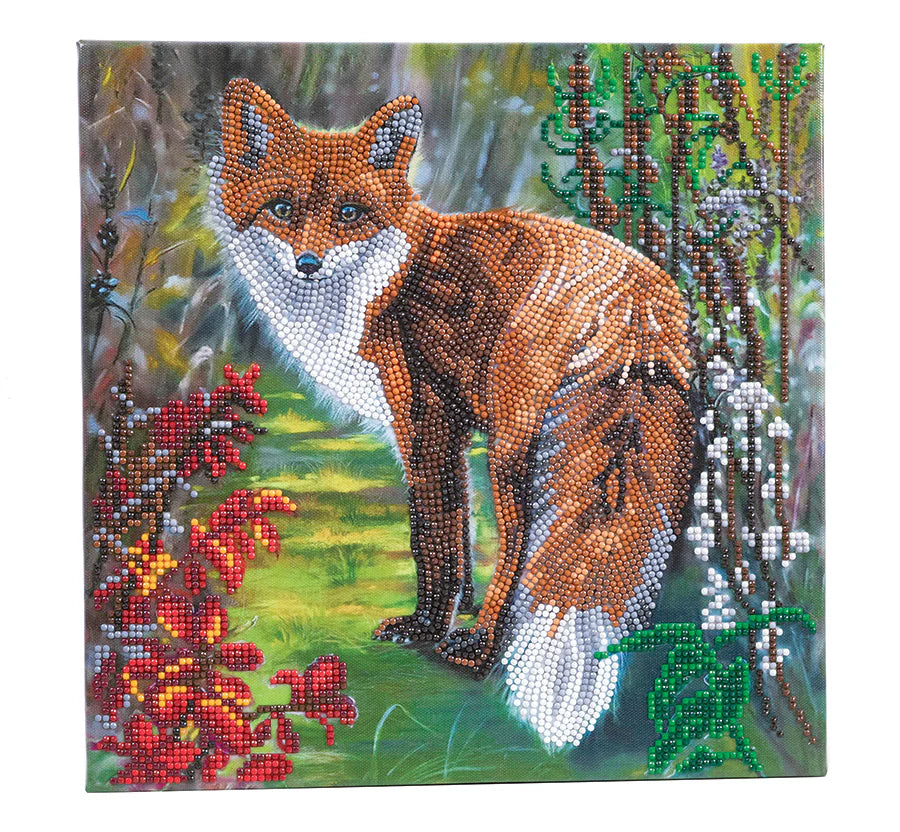 Autumn Fox - Medium Mounted Kit - Crystal Art
Get ready to be enchanted by this CA Mounted Kit (Med): Autumn Fox! With his beautiful face and bushy tail, you won't be able to resist taking this guy home with you. He'll give you so many stern, yet playful looks that you won't be able to help but smile! Perfect for any fox admirer, this kit will have you looking into the forest and feeling your spirit soar.
The Crystal Art Medium Framed Kit wall art is conveniently mounted on a wooden frame, so it's wrinkle