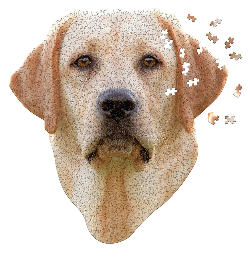 I AM a Lab- 550 Pieces
From Cobble Hill
Calling all dog lovers: this Madd Capp's 550-piece jigsaw puzzle is paw-fect for you! Featuring friendly yellow lab, this "I AM Lab" jigsaw is guaranteed to give you hours of playful puzzling pleasure.