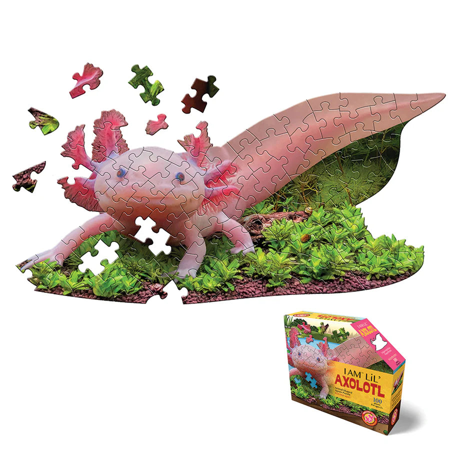 I AM a Lil' Axolotl- 100 Piece
From Cobble Hill
Who can resist a cute pink Axolotl? This I AM Lil' Axolotl (100 pc) is an adorable shaped puzzle that will tickle your kids pink! The puzzle includes a fun fact insert that makes this puzzle fun and educational!