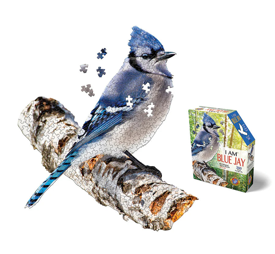 I AM a Blue Jay 300 Piece
From Cobble Hill
Fly away and explore the wonders of nature with this Madd Capp I AM Blue Jay (300 pc) shaped puzzle. This shaped puzzle includes a reference poster and fun facts - all perfect for any birdwatchers out there! So, let's get twit-terrific and solve the puzzle that's fun for the whole flock!