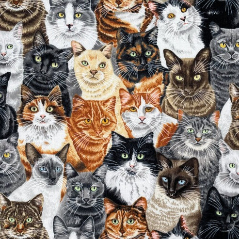 Crowded Cats – Suzie's Fabric Attic